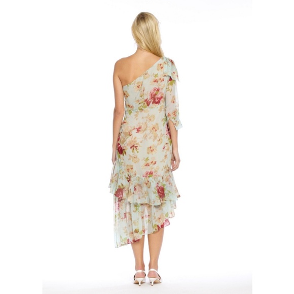 Gorgeous Floral One Shoulder Walter Baker Dress - Picture 3 of 3